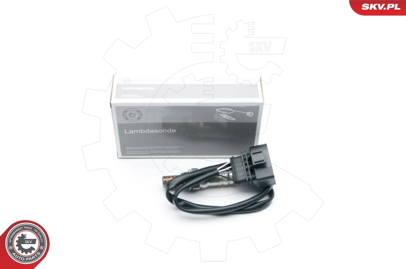 Oxygen Sensor